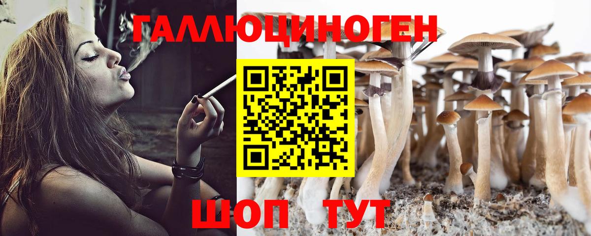Галлюциногенные грибы Magic Shrooms  где найти   Вход с VPN  Павловский Посад  Псилоцибиновые грибы прущие грибы 