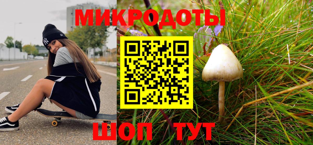 Псилоцибиновые грибы мухоморы Павловский Посад